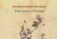 'Tras pasar el bosque', de Nicolás Fernández Hernández