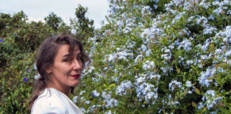 María José Alemán Bastarrica